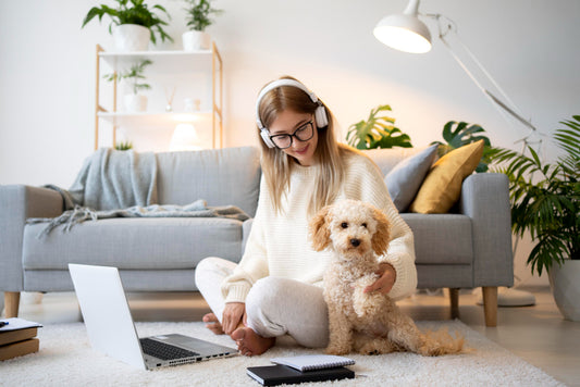 Exploring the beauty of Pet Urn Figurine