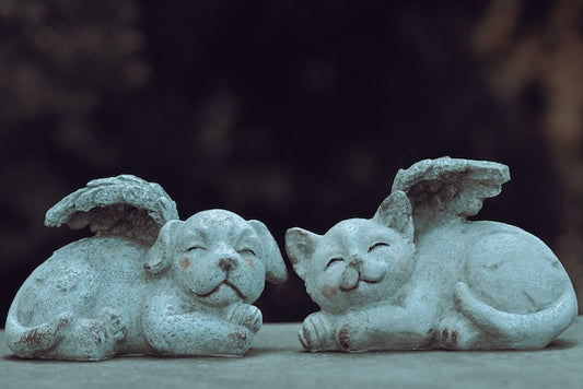 Types of Pet Figurines  