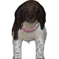 German Shorthaired Pointer Kurzhaar Figurine