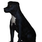 Staffordshire Bull Terrier Figurine