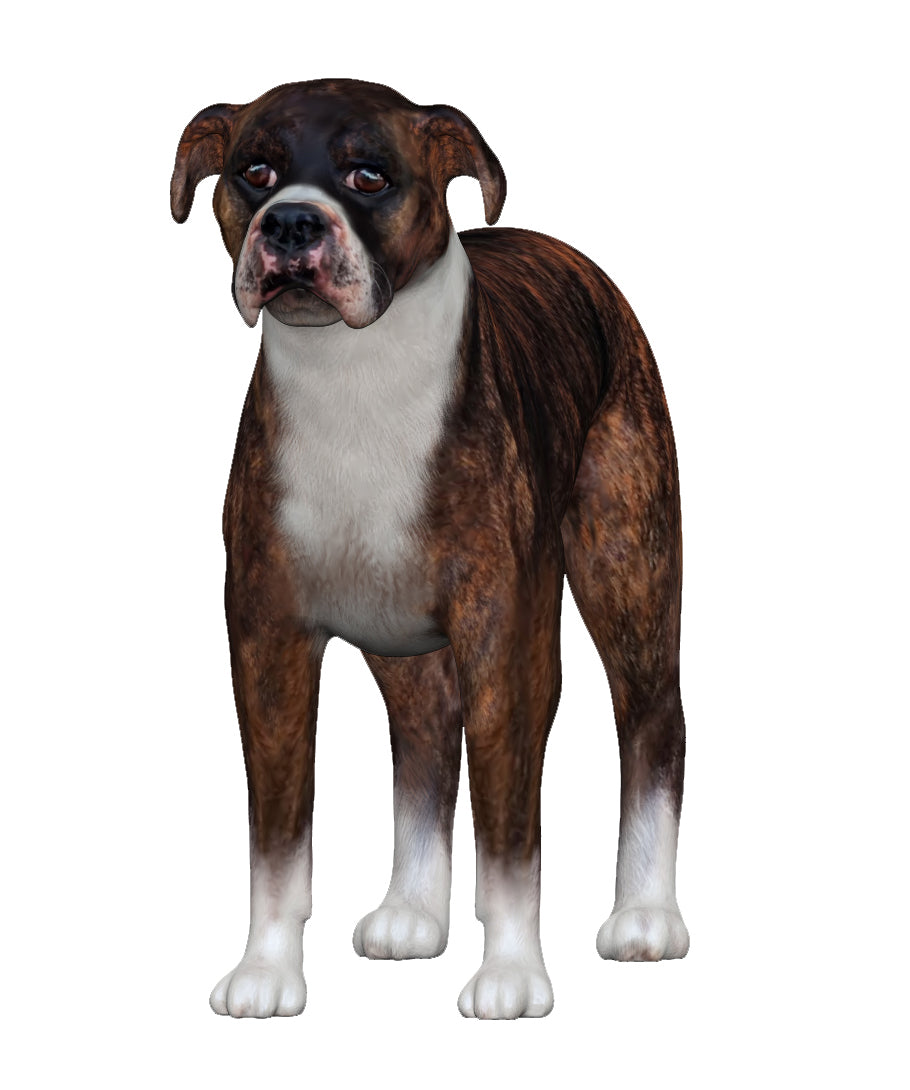 Boxer Dog figurine front