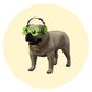 3D DOG AVATAR