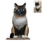 CUSTOMIZED CAT FIGURINES FROM PHOTO