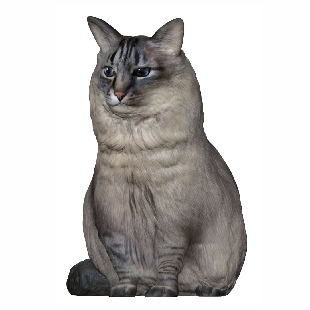 Make custom Cat Figurines from photos | Personalized Cat Figurines  | My3dSelfie