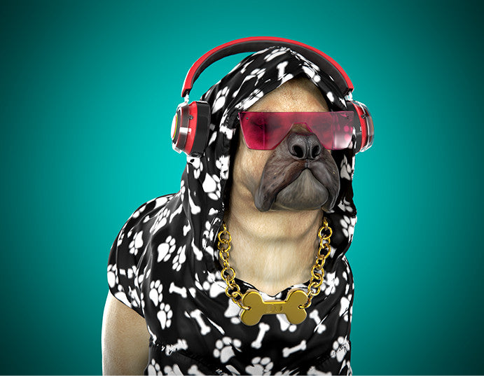 3D DOG AVATAR