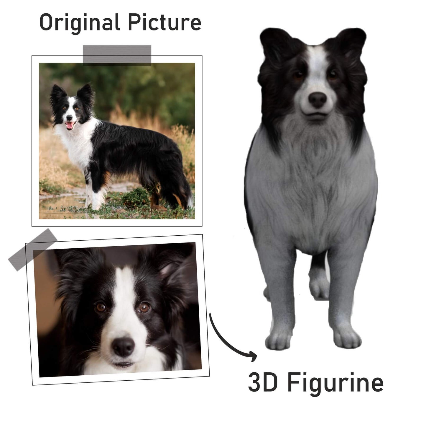 Buy Dogs Figurine | Life Size Dog 3D | Dogs statues | My3dSelfie | My3dSelfie