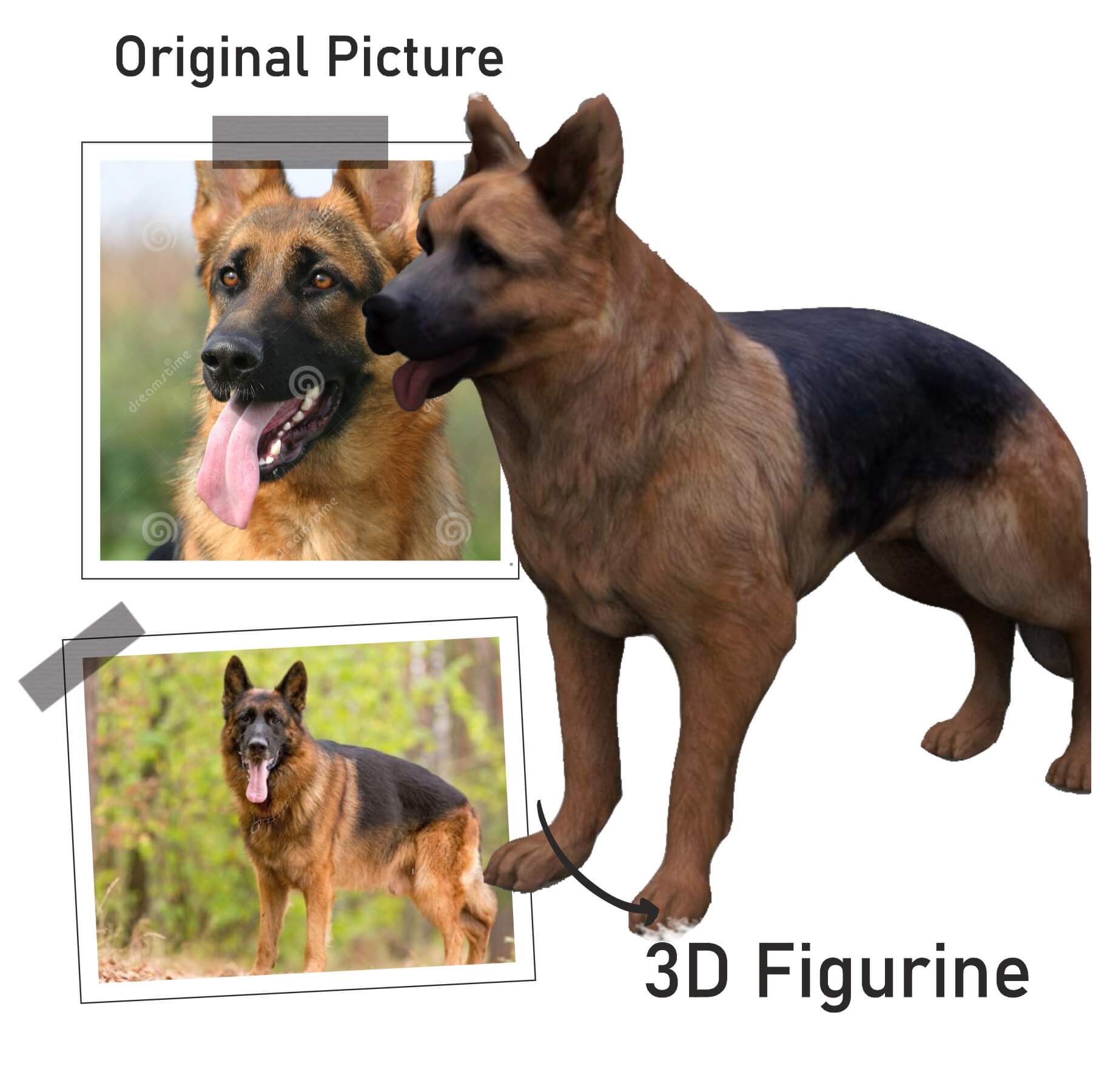 Buy Dogs Figurine | Life Size Dog 3D | Dogs statues | My3dSelfie | My3dSelfie