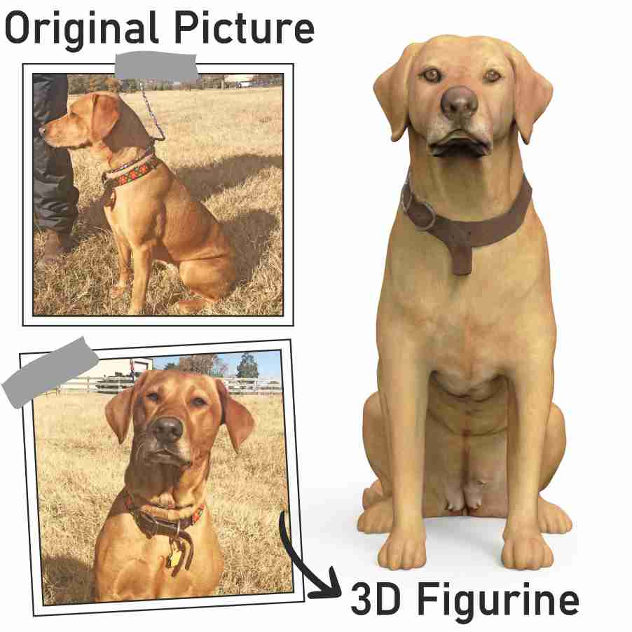 Buy Dogs Figurine | Life Size Dog 3D | Dogs statues | My3dSelfie | My3dSelfie