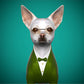 Customised 3d dog avatar-professor