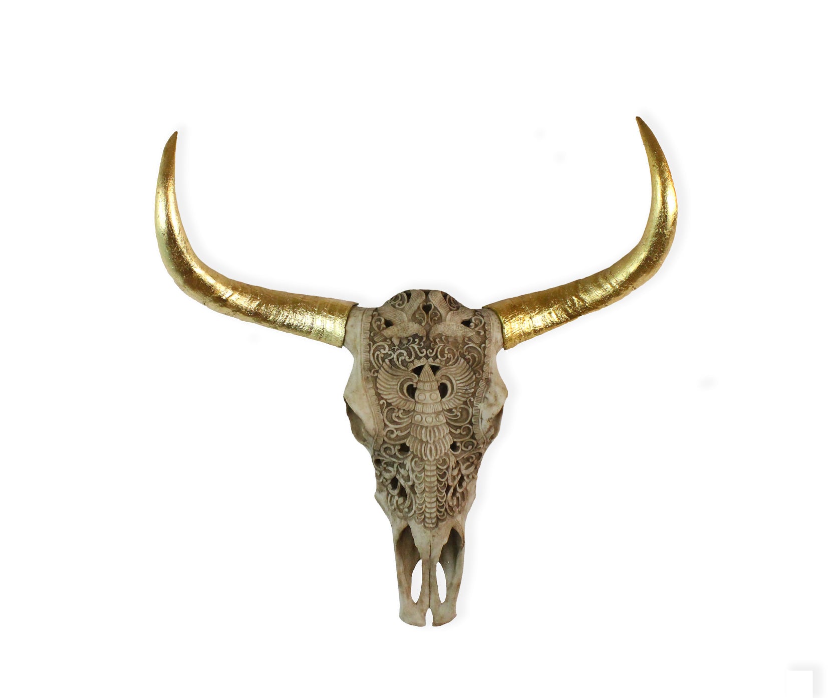 Buffalo Skulls