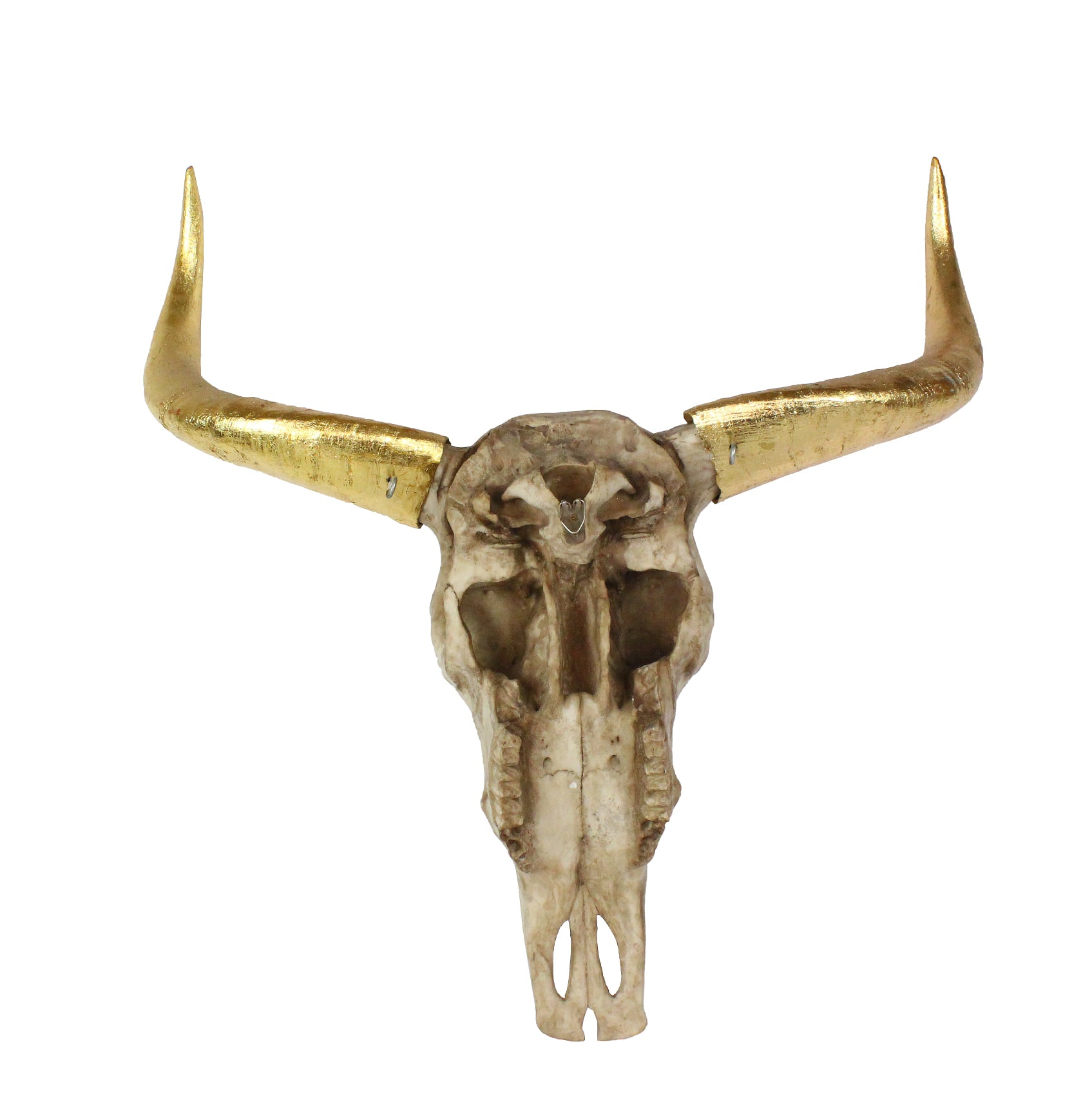 ram skull